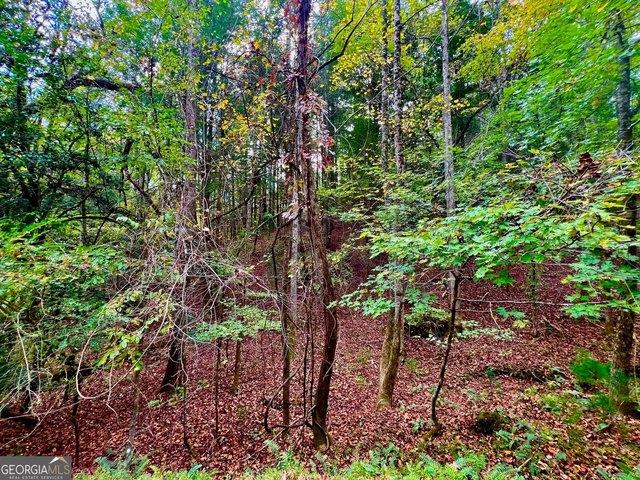Land for sale in Rockmart, Georgia