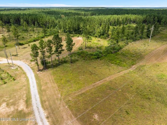 Land for sale in Sumrall, Mississippi