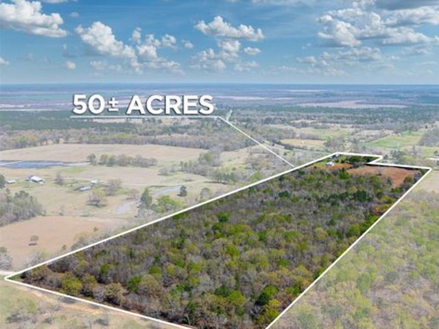 Land for sale in Bagwell, Texas