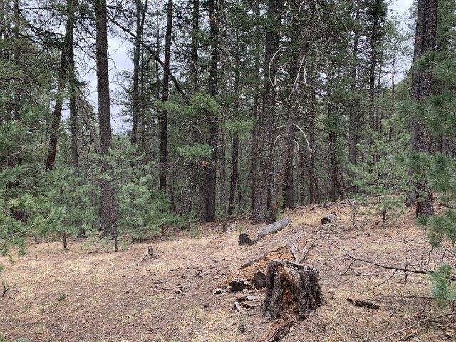 Land for sale in Mayhill, New Mexico