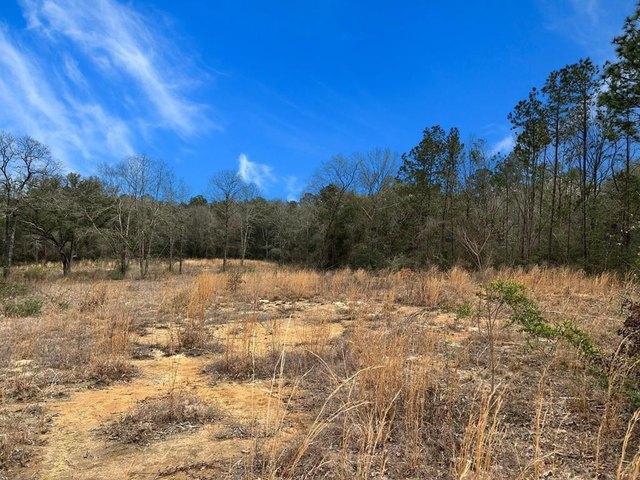 Land for sale in Carriere, Mississippi