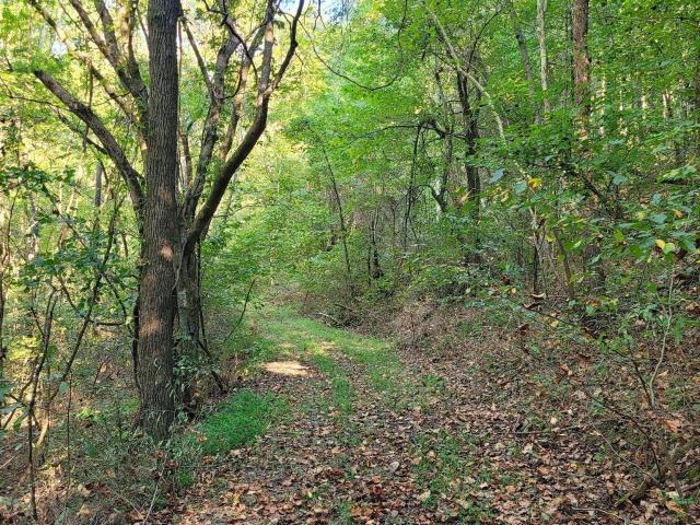 Farm for sale in Tennessee