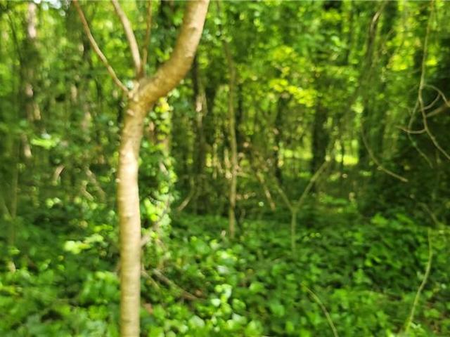 Land for sale in Kennesaw Land for sale in Kennesaw