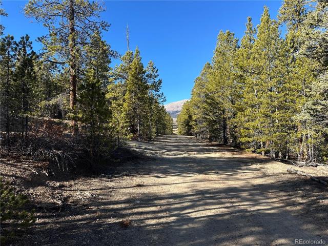 Land for sale in Colorado