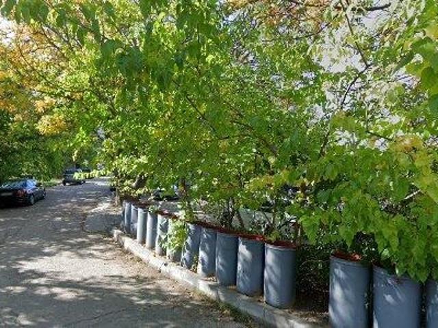 Cameră închirieri în București