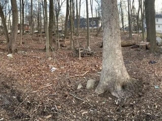 Land for sale in Glasser, New Jersey