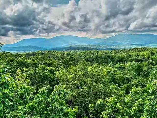 House for sale in Ellijay