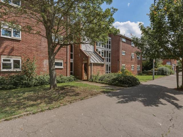 House for rent in Heigham Grove, East Bank