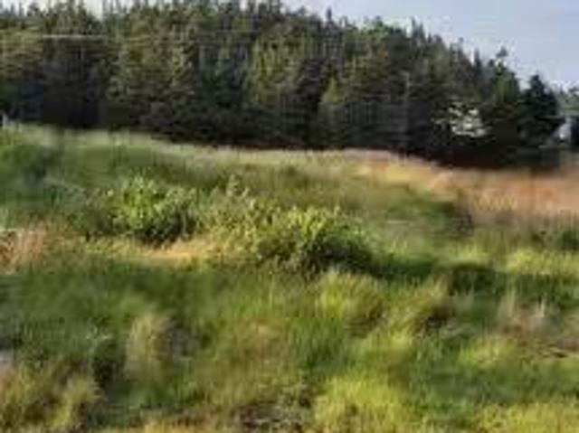 House for sale in Cappahayden, Newfoundland And Labrador