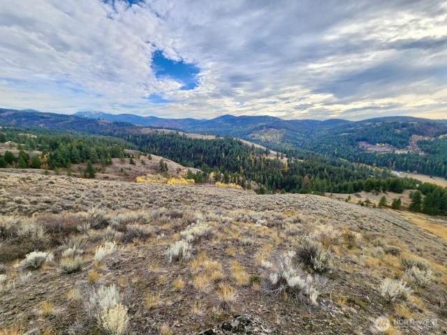 Land for sale in Republic, Washington