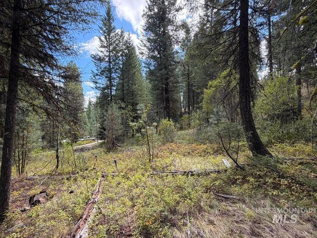 Land for sale in Cascade, Valley County