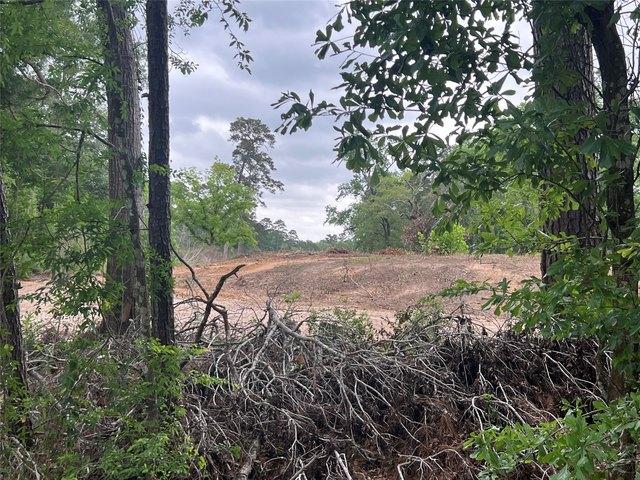 Land for sale in Conroe, Texas