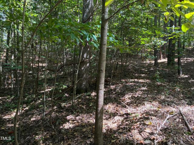 Land for sale in Chatham, North Carolina
