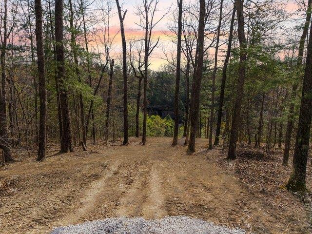 Land for sale in Zoe, Kentucky