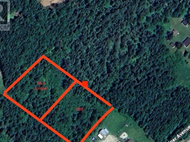 Land for sale in Cormack, Newfoundland And Labrador