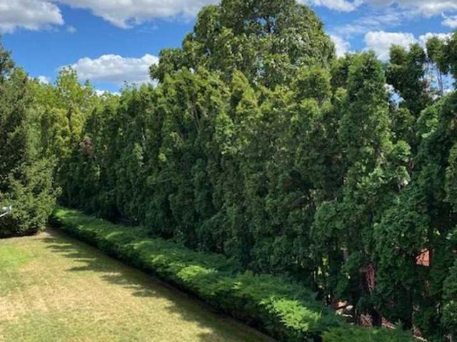 Apartment for rent in Greenacres, Washington