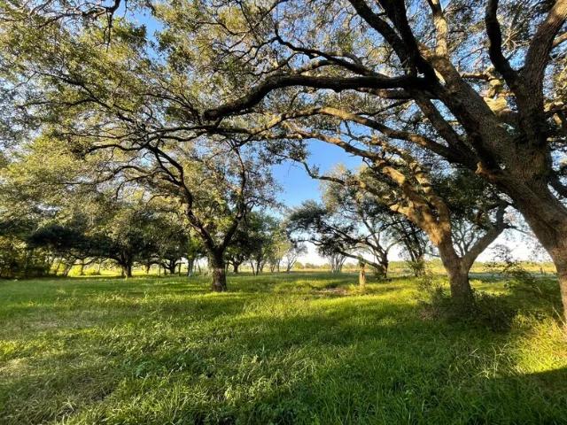 Land for sale in Texas