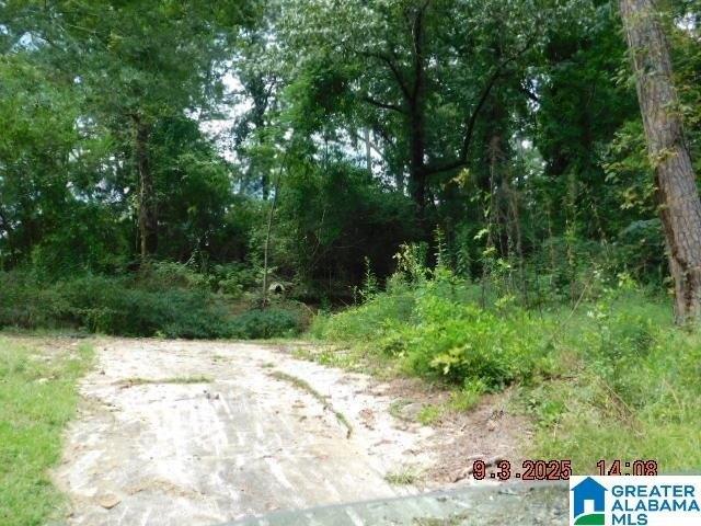 Land for sale in Trussville, Alabama