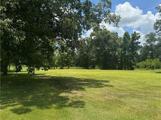 Land for sale in Tickfaw, Louisiana