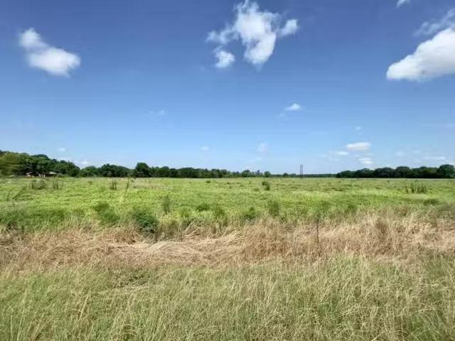 House for rent in Dothan
