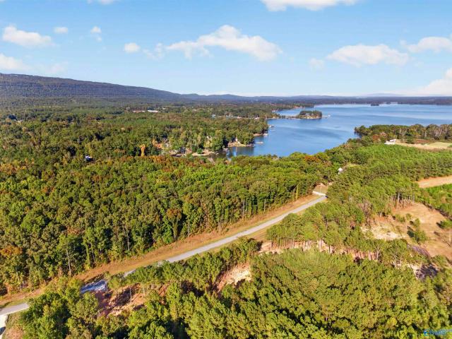 Land for sale in Leesburg, Cherokee County