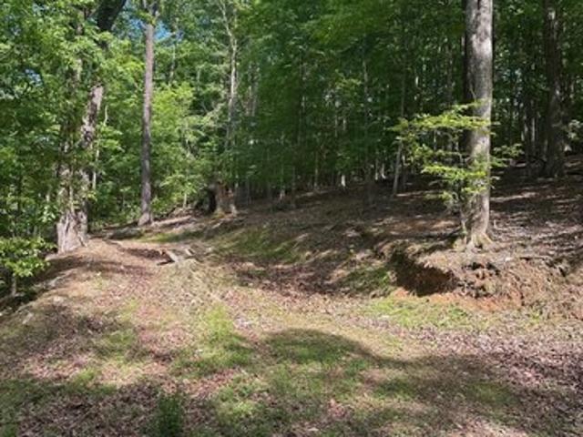 Land for sale in Tennessee