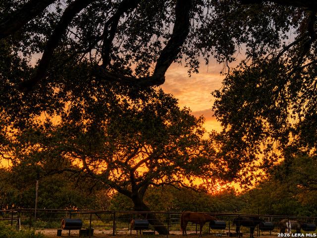 Farm for sale in Poteet, Texas