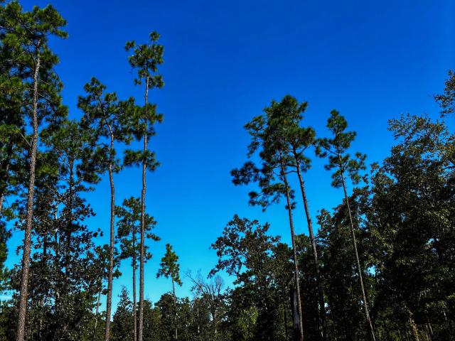 Land for sale in Hannatown, Bainbridge