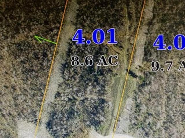 Land for sale in Saltillo, Lee County