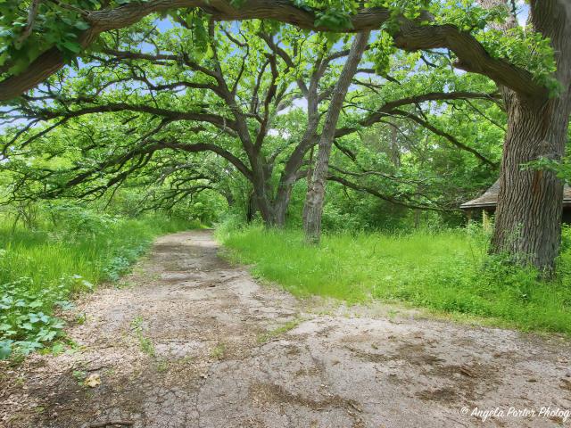 Land for sale in Mchenry, Illinois