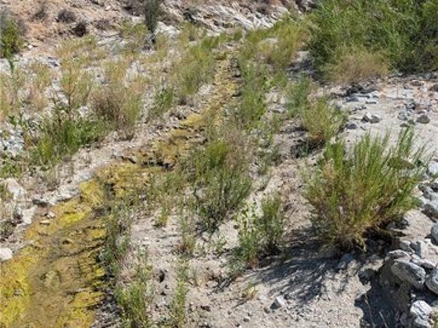 Land for sale in Morongo Valley, California