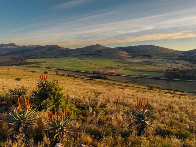 Farm for sale in Kareedouw, Eastern Cape