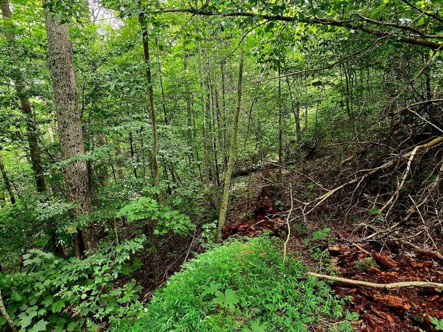 Land for sale in Tennessee