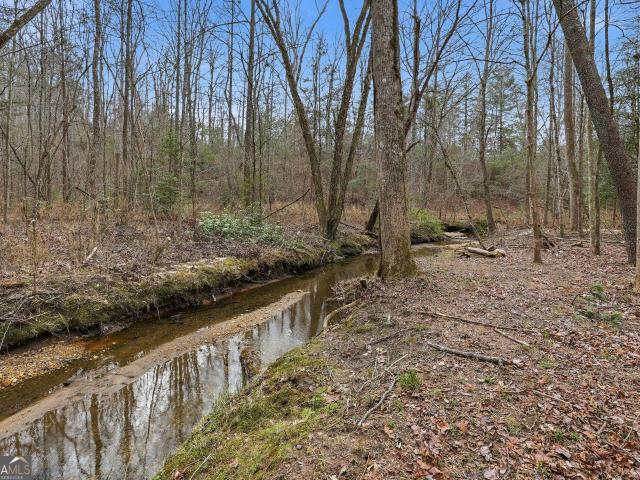House for sale in Clarkesville, Georgia