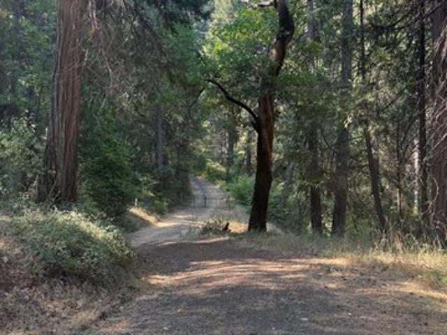Land for sale in Grizzly Flats, California