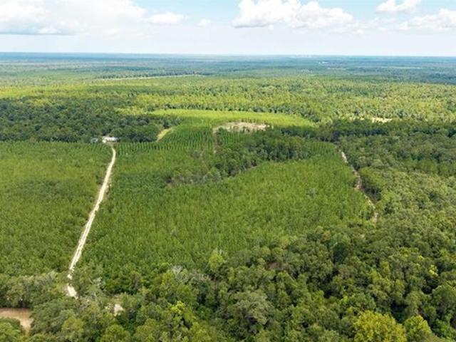 Land for sale in Mc David, Florida