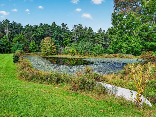 House for sale in Minisink Ford, Town of Tusten