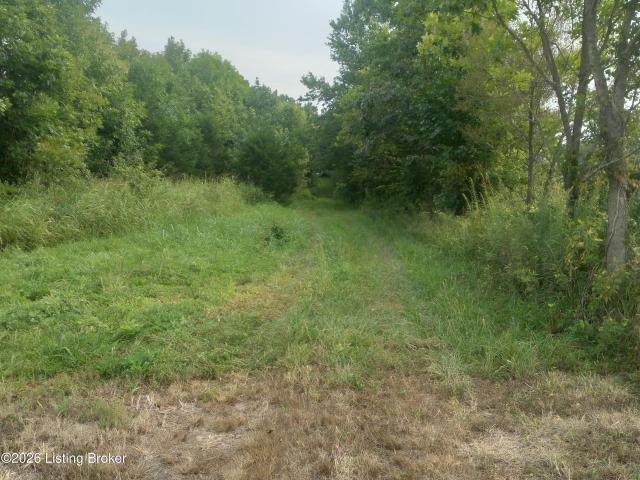 Land for sale in New Haven, Kentucky