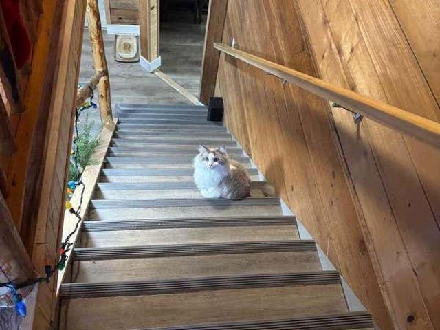 House for sale in Clayoquot, British Columbia