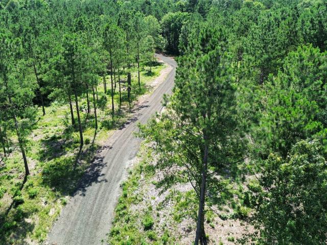 Land for sale in Timpson, Shelby County