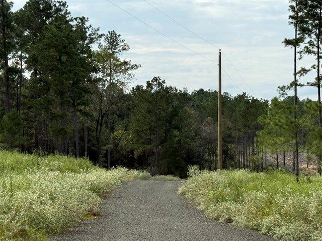 Land for sale in Timpson, Shelby County