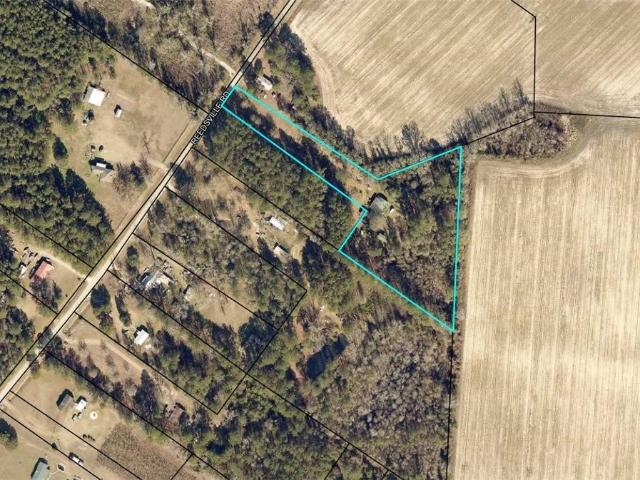 Land for sale in Clyo, Georgia