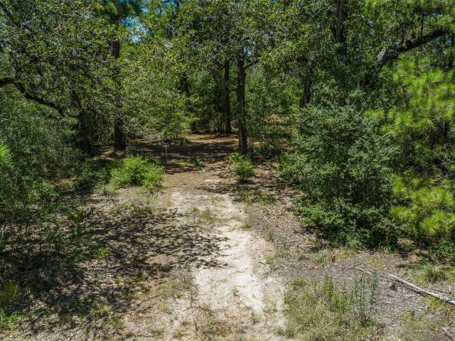 Land for sale in Paige, Texas
