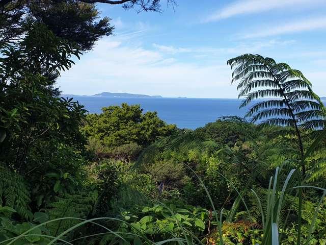 Land for sale in Tuateawa, Waikato
