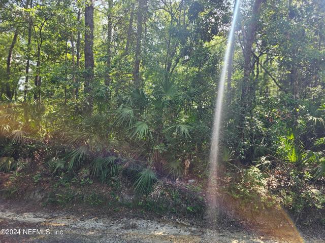Land for sale in Middleburg, Florida
