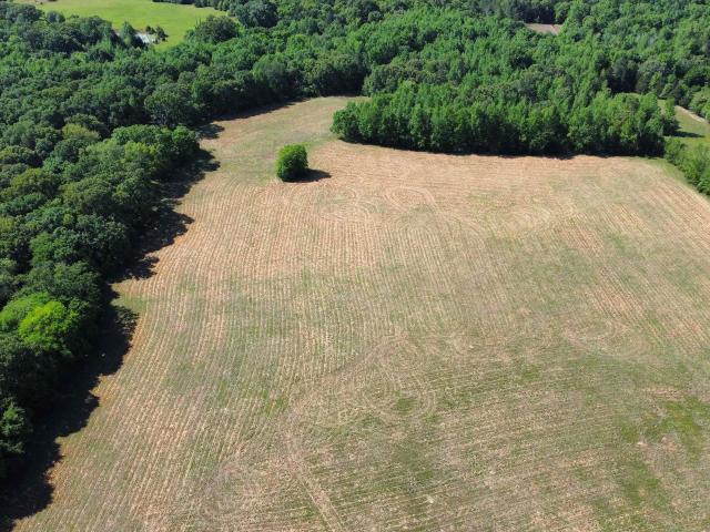 Land for sale in Wood, Texas