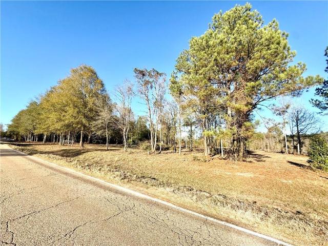 Land for sale in Franklinton, Louisiana