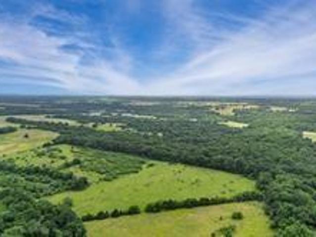 Land for sale in Rains, Texas