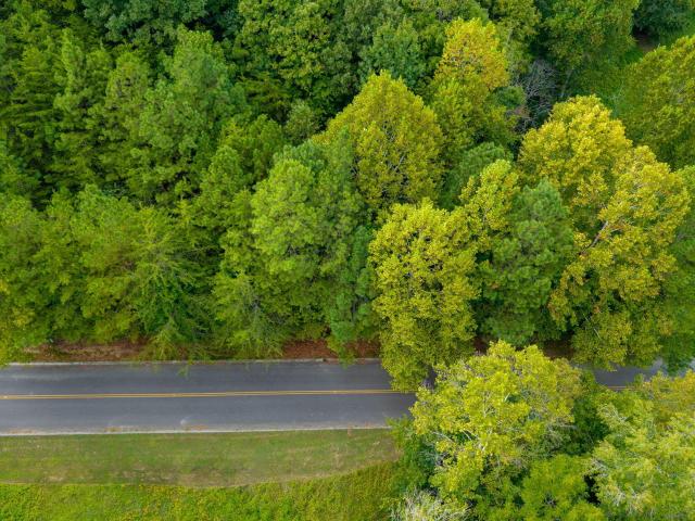 Land for sale in Tennessee