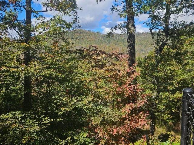 House for sale in Bakersville, North Carolina